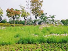 -菊园百果园