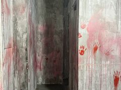 -Xcape异时刻密室逃脱魔法互动(瑞虹天地太阳宫店)