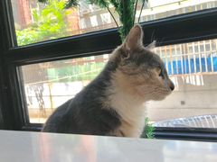 -宠爱国际动物医院·疑难骨科·心肾内科·皮肤科(太阳宫店)