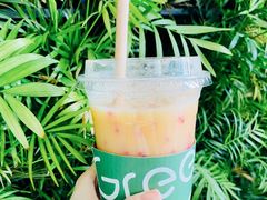 -Green Option(官舍店)