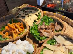 -滇野云南野生菌餐厅(陕西南路店)