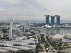 -新加坡瑞士史丹福酒店