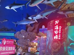 -烟台海昌鲸鲨海洋公园