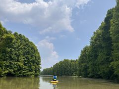 -上海海湾国家森林公园