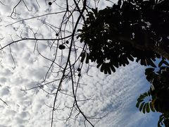 -广东金融学院(校本部)