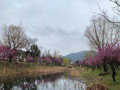 -石塘人家