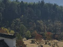 -塔川景区