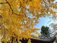 -汇龙潭