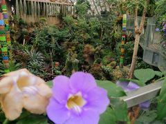 -上海辰山植物园