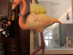 店内环境-思南书局(复兴中路店)