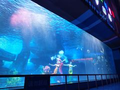 -泉城欧乐堡海洋极地世界