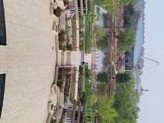-石家庄市植物园