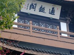 -范蠡湖公园