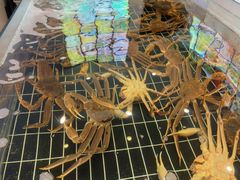 -海悦汇•闽菜•蒸汽海鲜(合景峰汇商务广场店)
