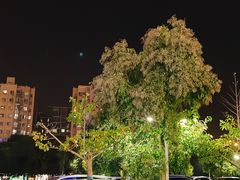 -永旺梦乐城(金银潭店)