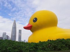 -深圳人才公园