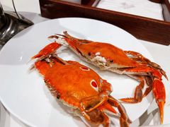 -河北宾馆·香溢自助餐(裕华店)