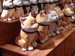 -大江户·温泉洗浴(浑南店)