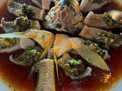 -甄御•海鲜新青岛菜(麦岛店)