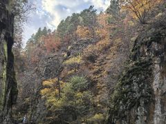 -茅兰沟国家森林公园