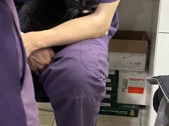 -萌兽医馆·眼科·异宠专科(三里屯店)