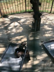 点击看大图 -萌宠亲子动物乐园(槐房万达店)