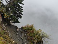 -海螺沟风景区