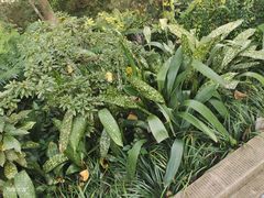 -成都市活水公园