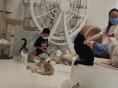 -宁茶·西宁特色奶茶(北家姓总店)