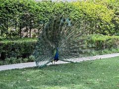 -金庭庄园酒店-停车场