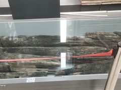 -西安大唐西市博物馆