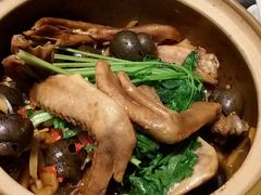 -食爺炭炉鸡煲·烧烤