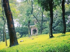 -广州市白云山风景名胜区