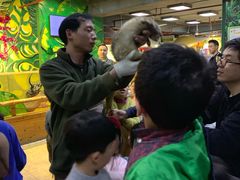 -上海大自然野生昆虫馆(东方明珠·爬宠昆虫探索中心)