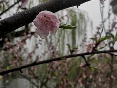 -西湖天地