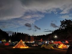 -武陵山森林公园
