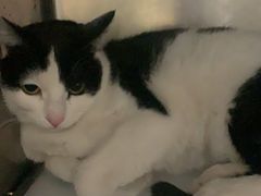 -宠颐生宠物医院·骨外科·犬猫全科诊疗中心(池州店)
