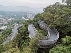-福道
