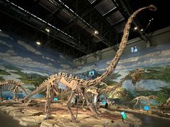 -自贡恐龙博物馆