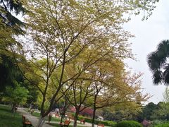 -西安交通大学(雁塔校区)