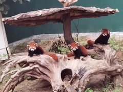 -大连森林动物园