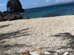 -阿波岛