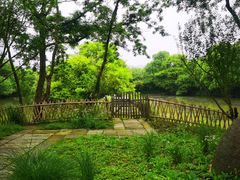 -西溪国家湿地公园