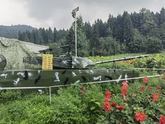 -武陵山森林公园