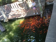 -华雅花园大酒店