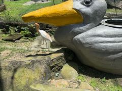 -吉隆坡雀鸟公园