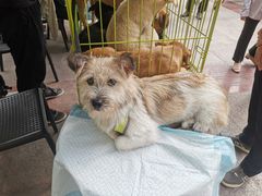 -COSTA COFFEE(上海虹口公园店)