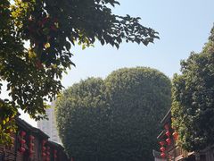 -安泰楼·佛跳墙创始人·传统闽味早茶·酒楼(三坊七巷闽菜地标店)