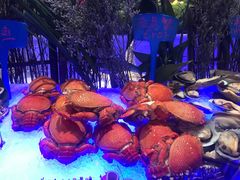 -绮梦西湖·云端餐厅(歌德店)