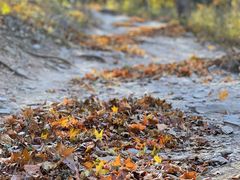 -北京西山国家森林公园